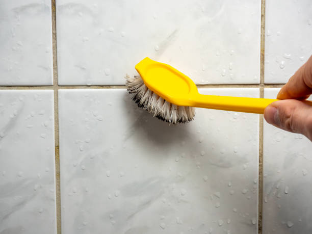 Best Mold Removal and Inspection  in Union Grove, WI