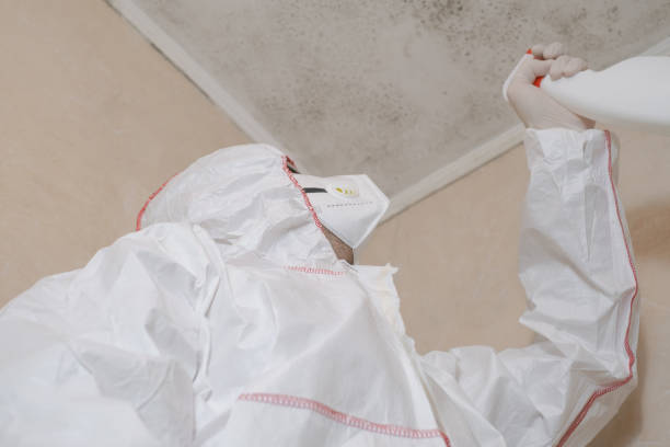 Best Mold Cleaning Services  in Union Grove, WI